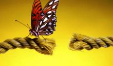 qq个性签名超霸道女生