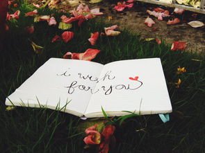 美丽的个人签名