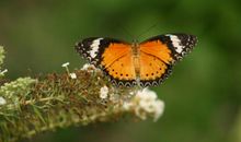 qq签名心情低谷