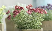 形容深夜不开心的句子 夜深人静的不开心句子