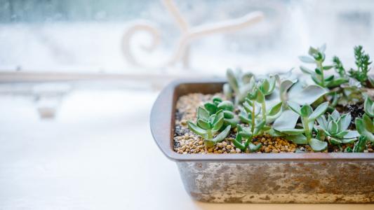 劳累和不开心的句子劳累和不开心的句子2