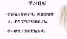 写景抒情的句子