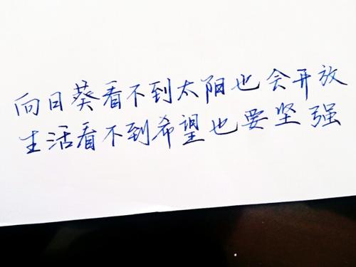 多情的爱情句子经典