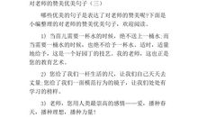 赞美教师的优美句子