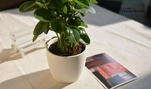 很久没有开心的笑过了句子 形容很久没开心笑过了的说说