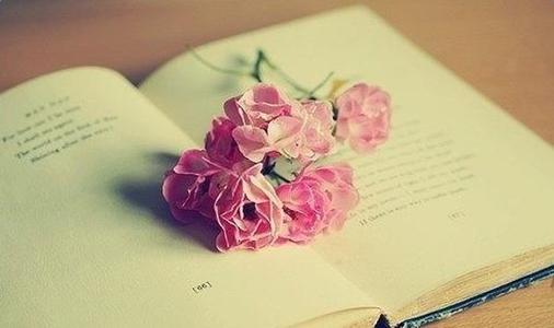 表达情绪低落的句子