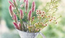 旅游送行祝福语