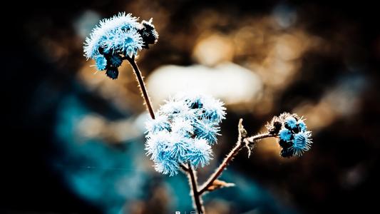 理解一生中的八个句子