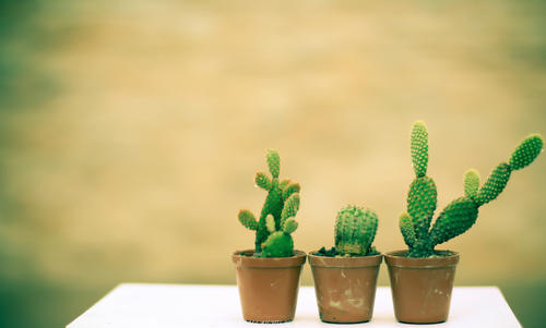 最近流行的快乐句子2020年流行的快乐句子送朋友圈