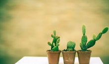 最近流行开心的句子 2020流行的句子开心发朋友圈