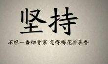 关于网络的名言