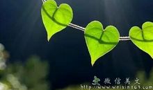 写人生潇洒的句子