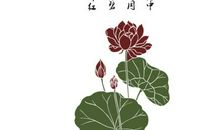 莲花诗句大全