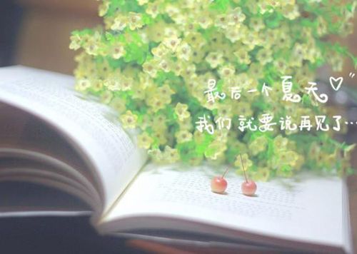 美丽的抒情散文句子