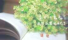 优美的抒情散文句子