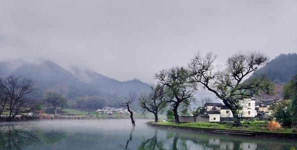 美丽的抒情散文句子