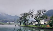 优美抒情散文句子