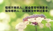 人生领悟的句子