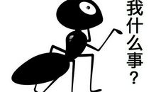 2017经典网络语言