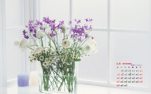 使妻子幸福的审美句子，谈论情绪，谈论情绪，使妻子幸福的句子1