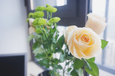 关于快乐的老人的句子关于快乐的老人的句子2