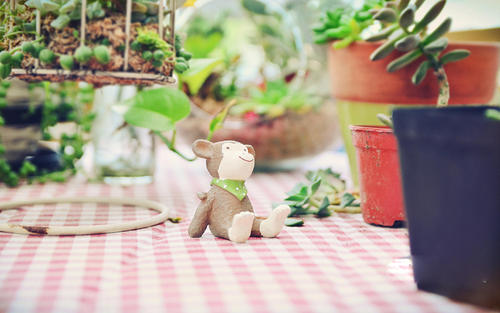 快乐的阳光句子说话的短语快乐的阳光句子说话的短语2