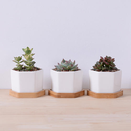 快乐的阳光句子说话的短语快乐的阳光句子说话的短语1