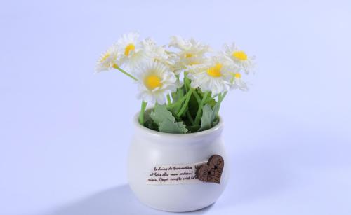 快乐的阳光句子说话的短语快乐的阳光句子说话的短语