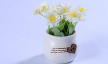 开心阳光的句子说说心情短语 开心说说心情短语句子