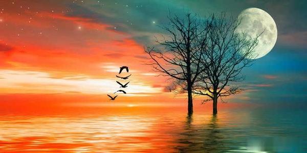 一些深奥的短句