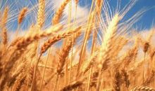 2017励志人心的句子