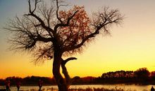 那些年经典句子