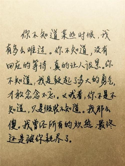 赞美爱情句子经典