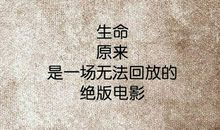 让人领悟的句子