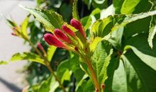 阳光唯美的句子摘抄