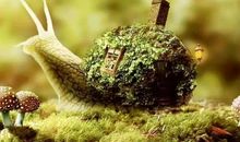 学习正能量的句子