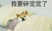 调侃自己的语录