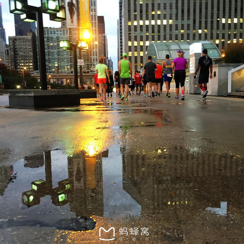 2017年洪磊经典语录