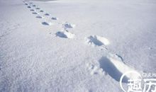 雪景优美的句子