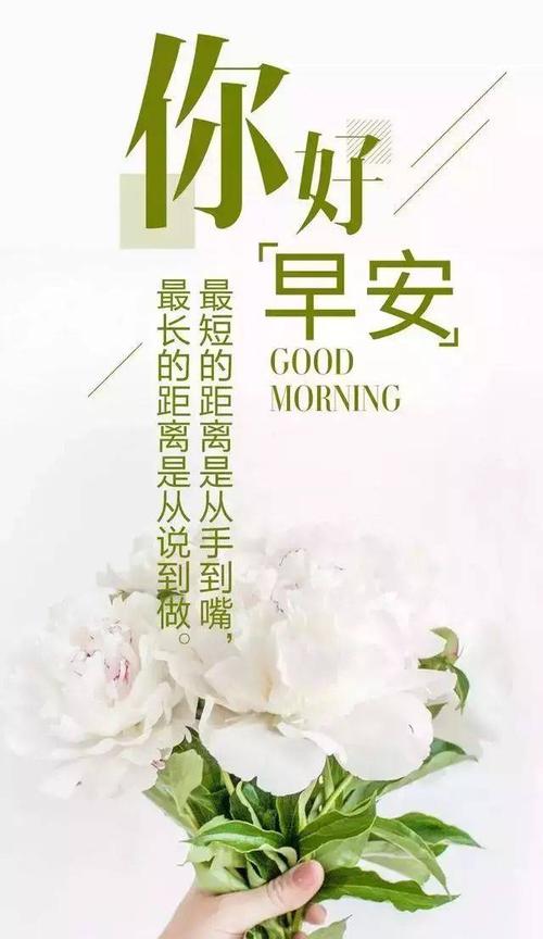 早上励志句子