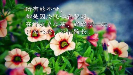 推广积极的句子