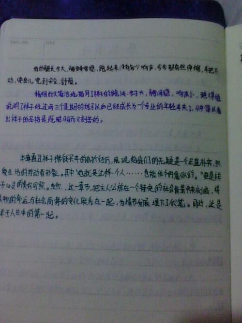 提取好的单词和句子