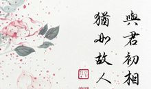 至此终年经典句子