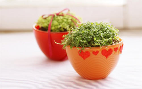 既悲伤又幸福的句子既悲伤又幸福的句子2