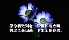 感悟人生经典语句心情