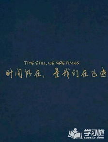 审美和鼓舞人心的句子