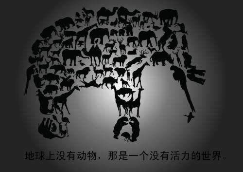 英文的动物保护口号