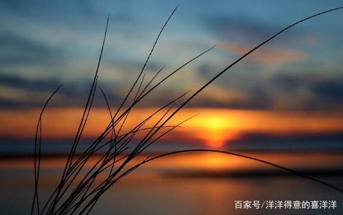 美丽而鼓舞人心的句子很长