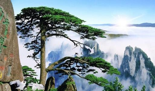 句子描述松树的精神