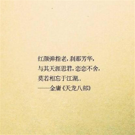 电视中的经典句子